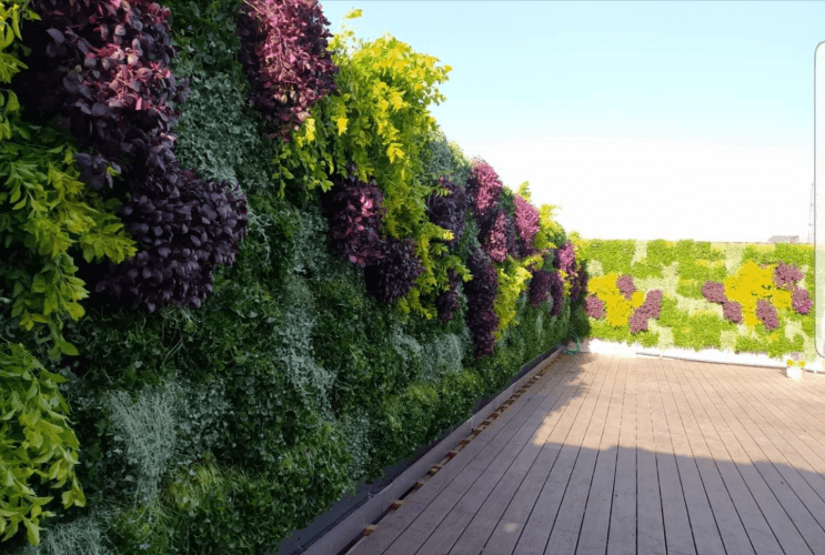 בניית קירות ירוקים